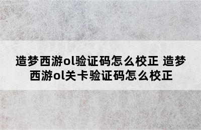 造梦西游ol验证码怎么校正 造梦西游ol关卡验证码怎么校正